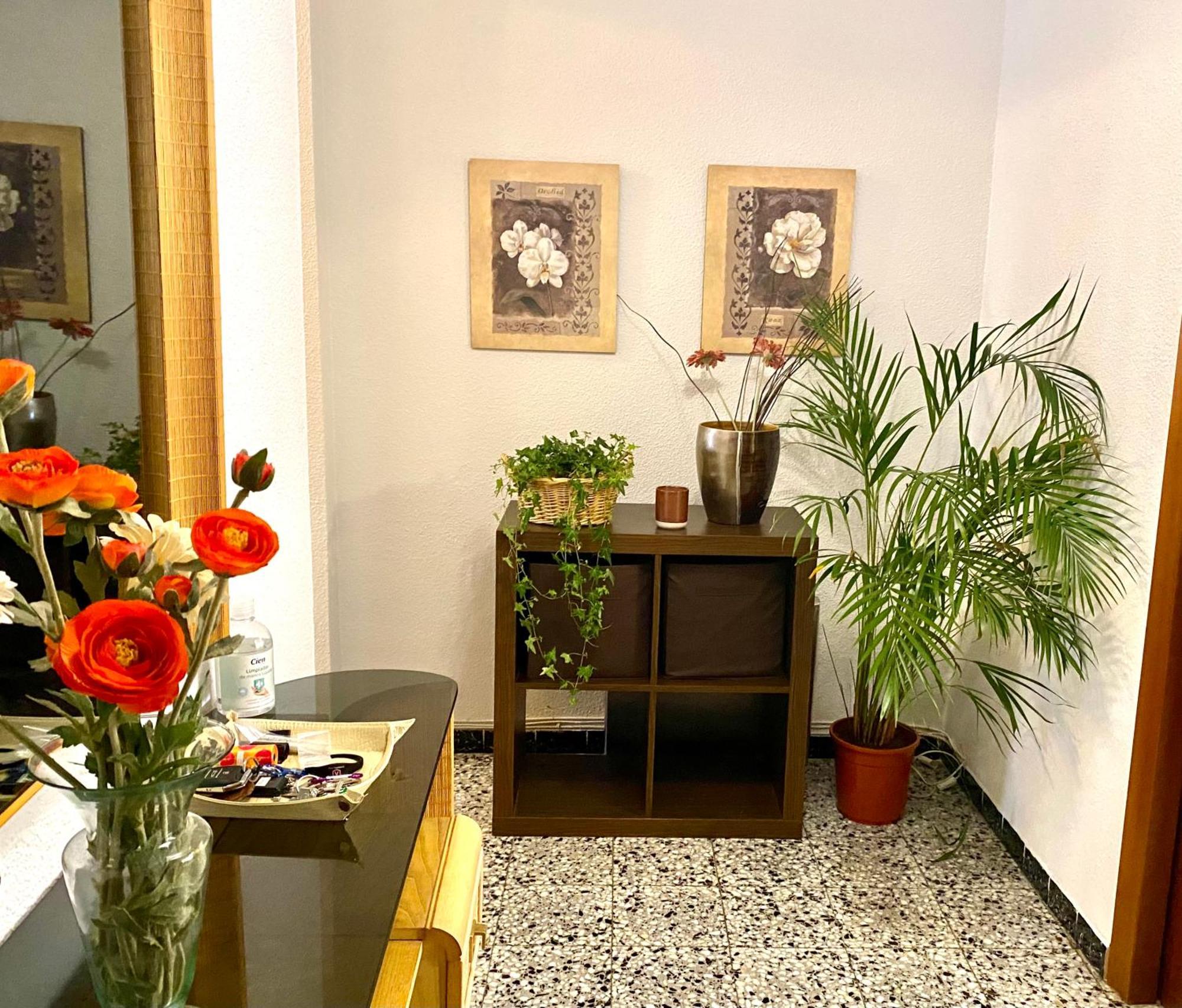 Habitacion My Home Alicante Esterno foto